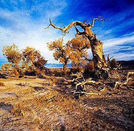 Steam正式终止对Win7＆8的支持 客户端已不可用